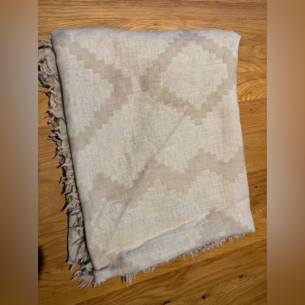 Aritzia Blanket Scarf